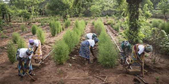 After the Africa-France Summit, investing together in agroecology