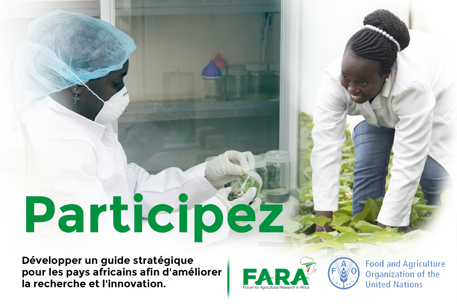 Le FARA est prêt à apporter son appui à la FAO dans le cadre de l’élaboration d’un guide stratégique permettant aux pays d’améliorer la recherche et l’innovation