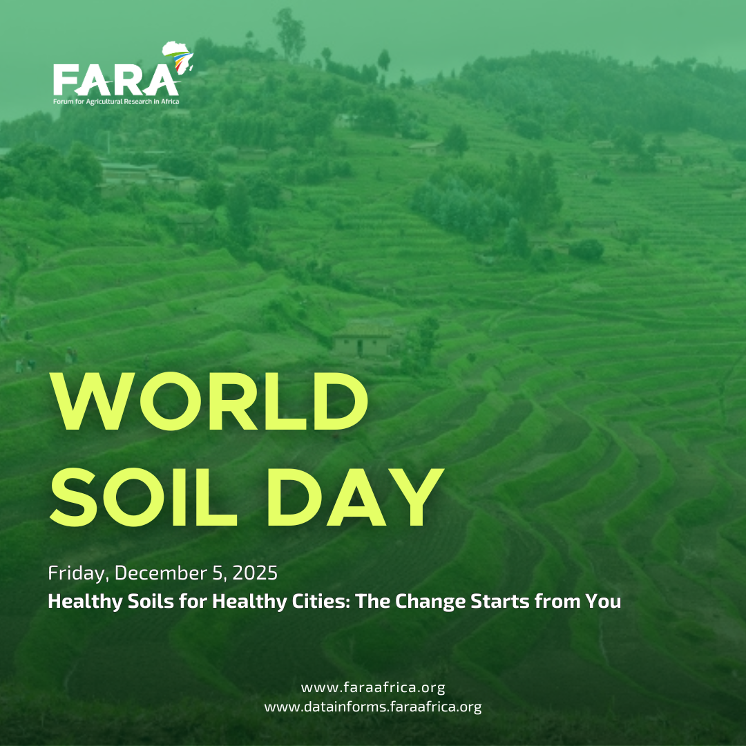 World Soil Day 2025 – Healthy Soils for Healthy Cities: The Change Starts from You