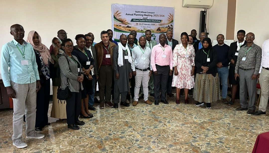 Le FARA et l’ICARDA réunissent leurs partenaires en Éthiopie pour accélérer l’autosuffisance en blé en Afrique