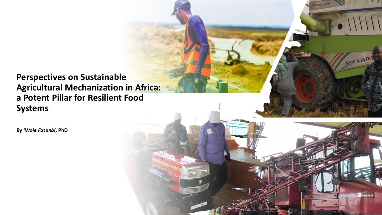 Perspectives on Sustainable Agricultural Mechanization in Africa: a Potent Pillar for Resilient Agriculture and Food System
